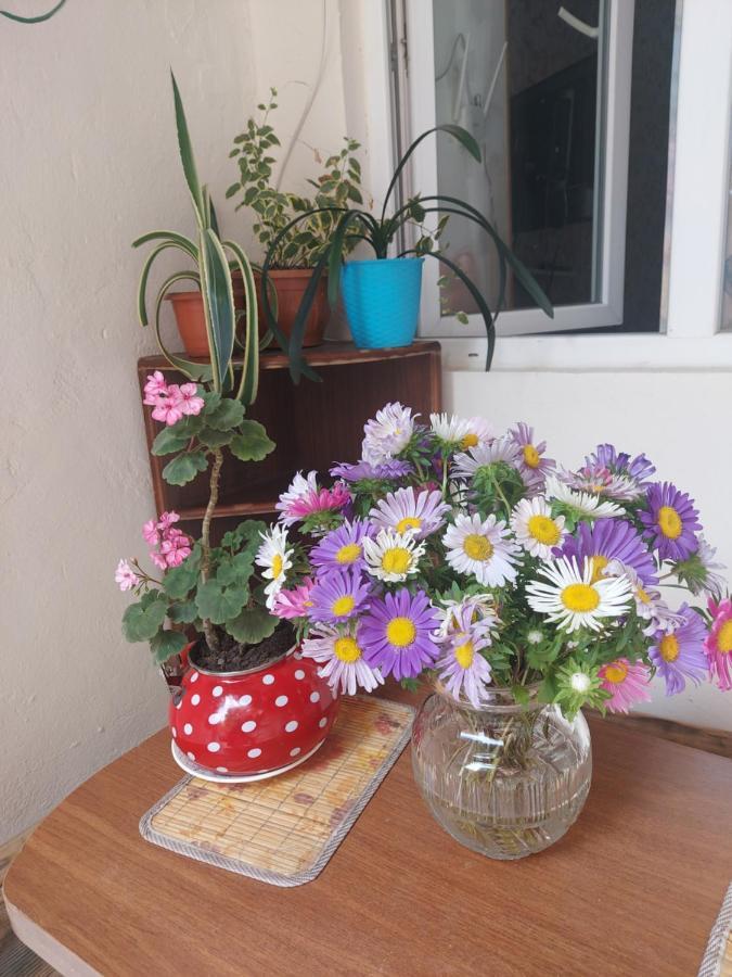 Malu Apartment Tbilisi Luaran gambar
